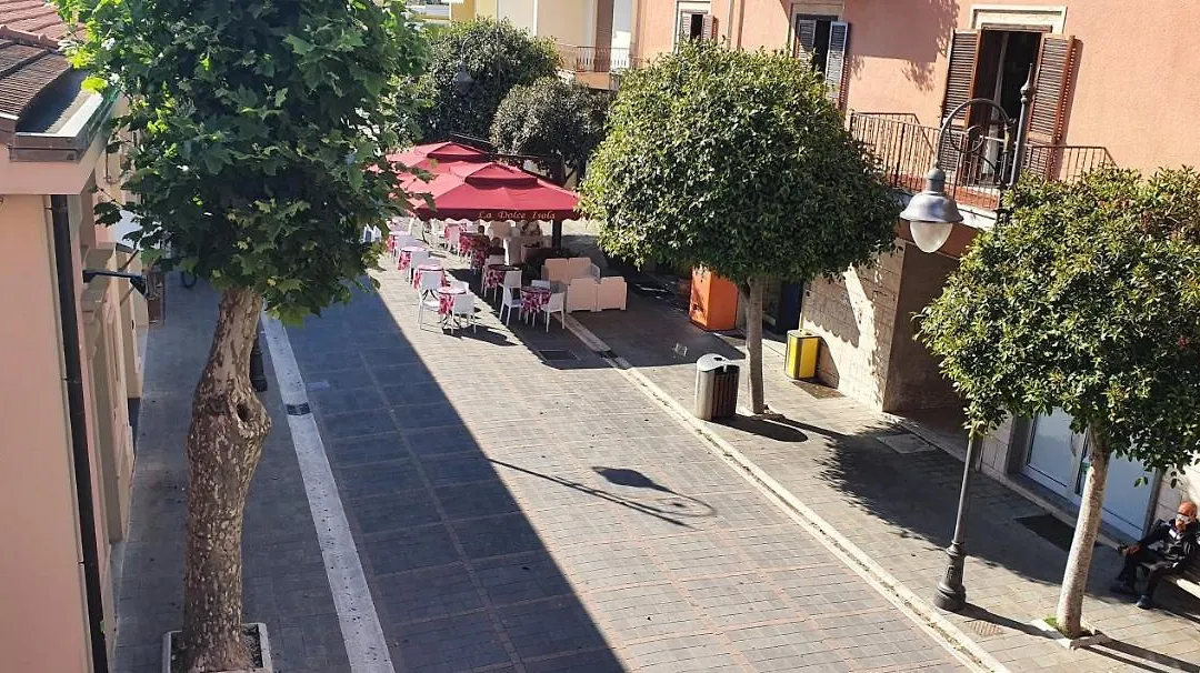 Incentroscalea B&B-1
